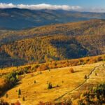 Mogielica, gmina Dobra, remont, odbudowa
