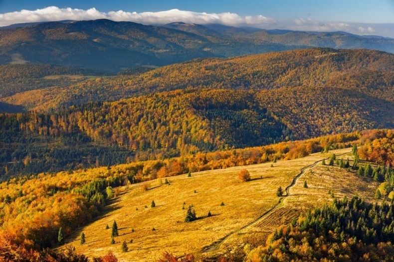 Mogielica, gmina Dobra, remont, odbudowa