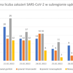 Wykres - raport 21-27.02