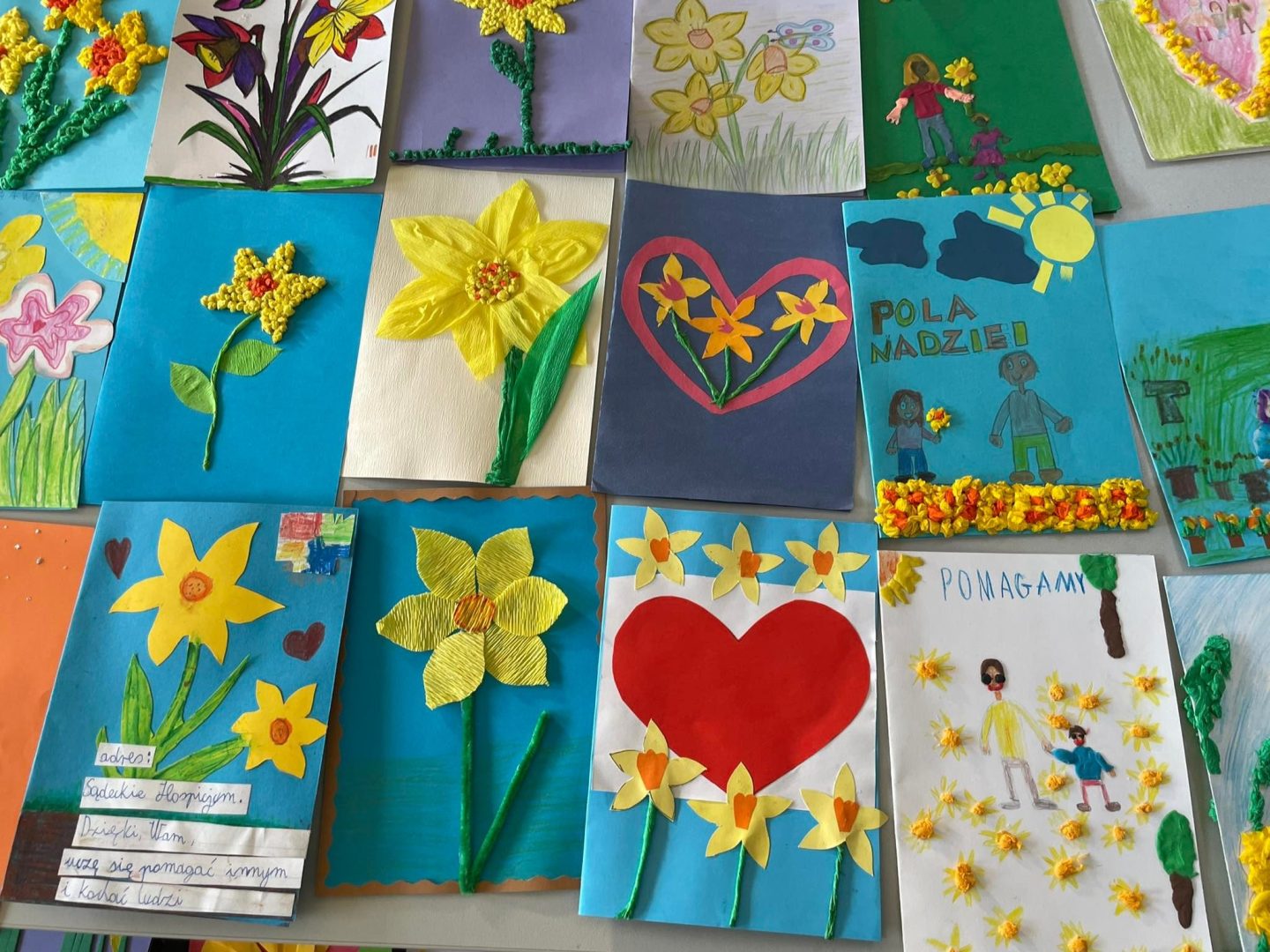 Sądeckie Hospicjum, Żonkilowa Kartka, Pola Nadziei
