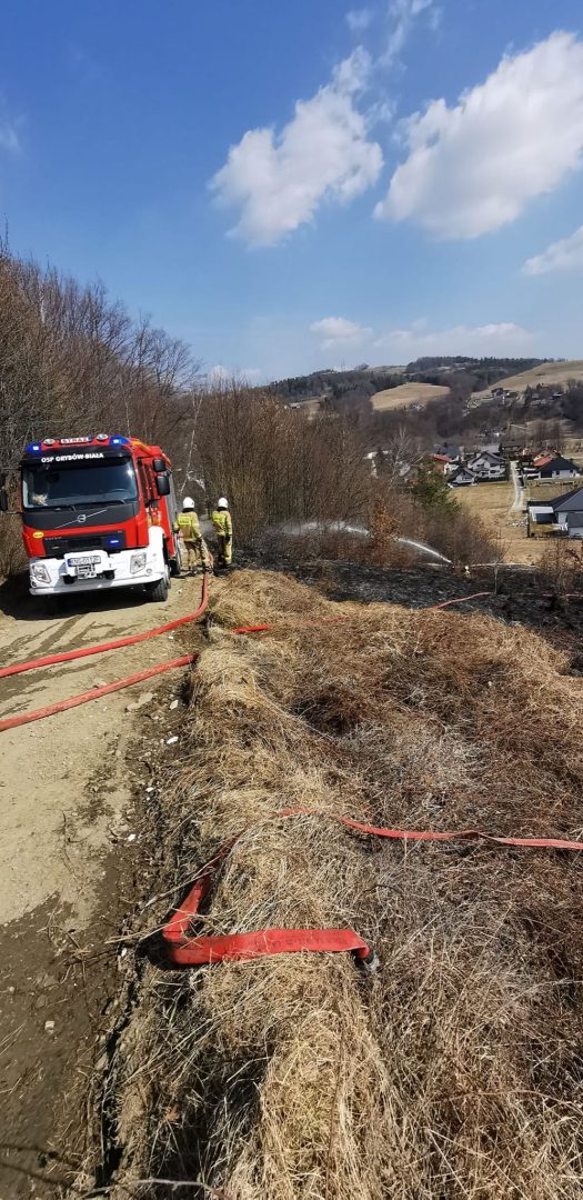 Sądecczyzna, pożar traw