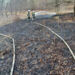 Pożary traw