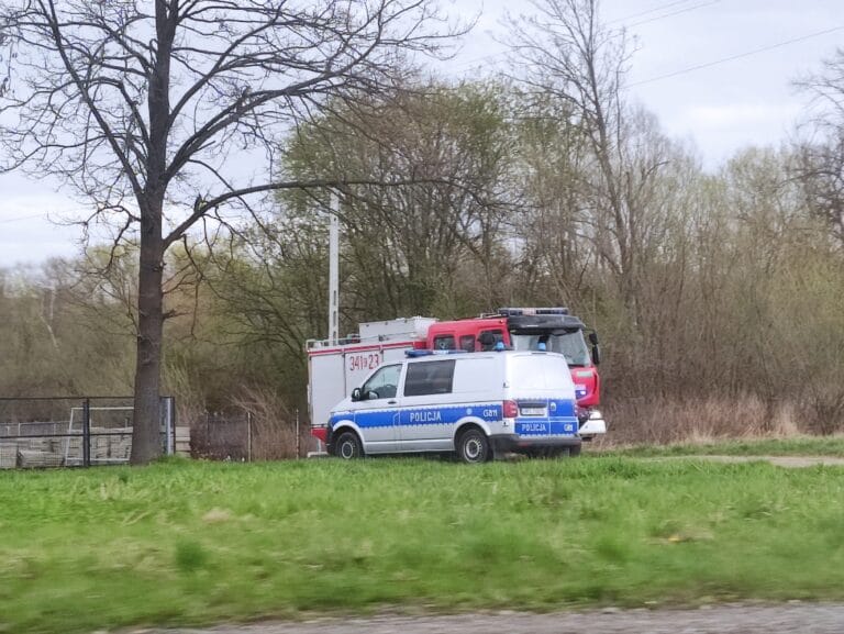 Nowy Sącz. Straż pożarna i policja przy Alejach Piłsudskiego