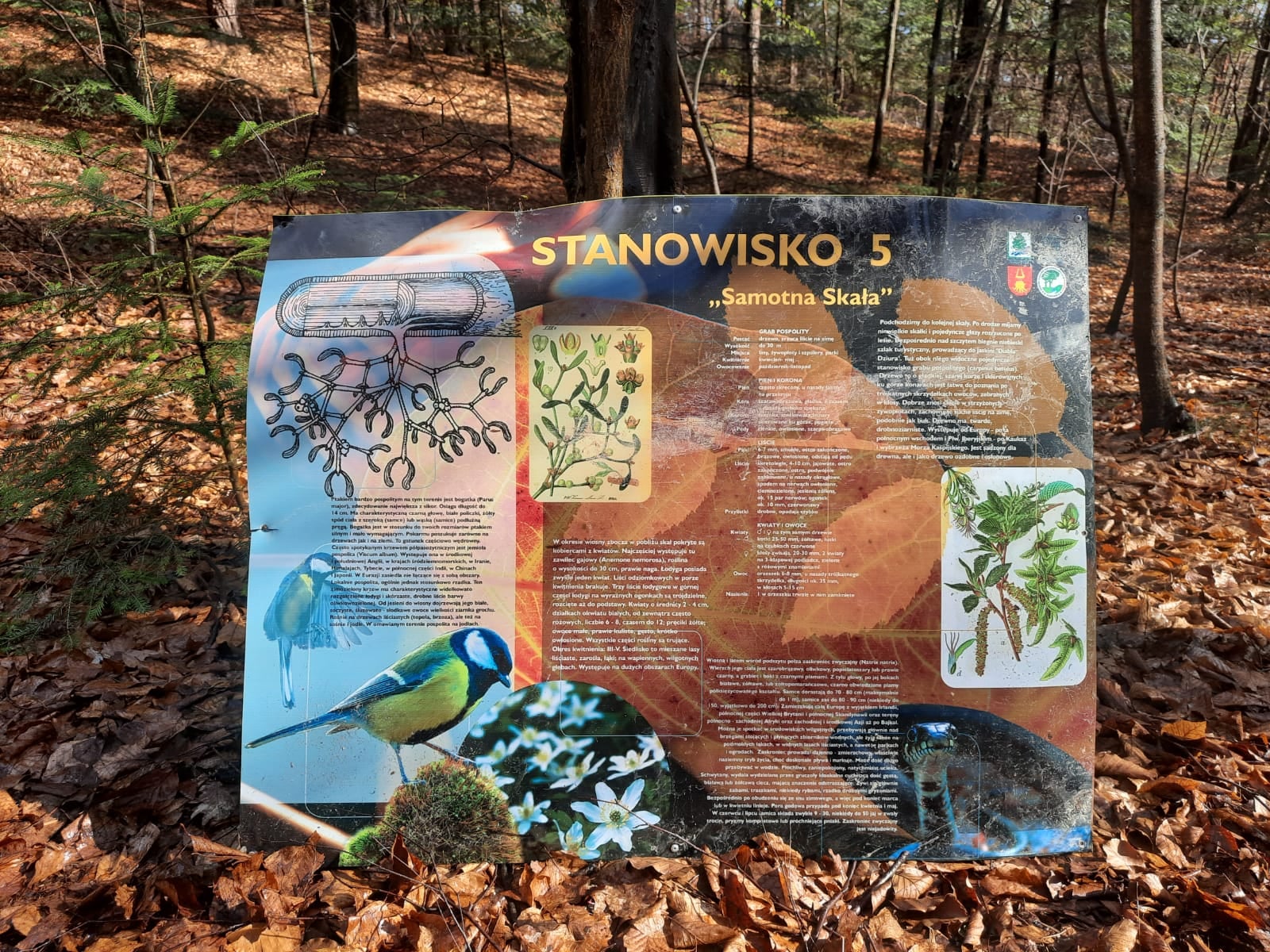 rezerwat Bukowiec, zniszczone tablice