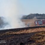 Pożary - 6.04.2022