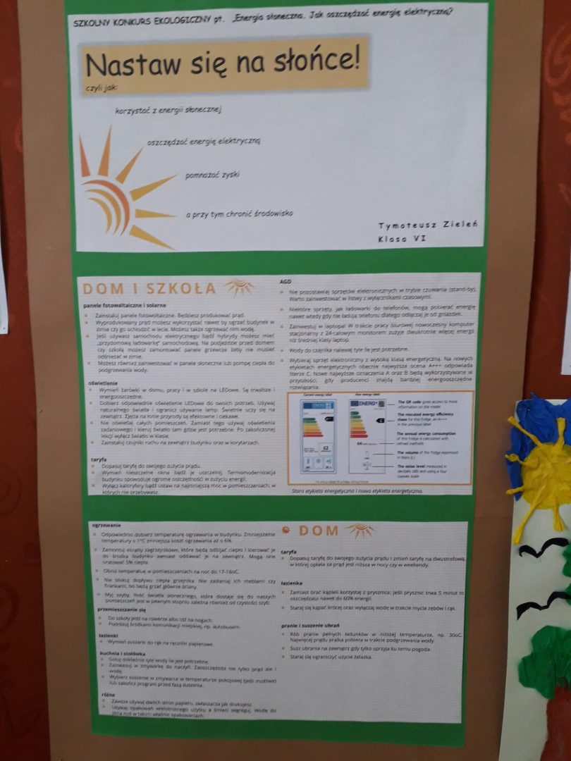 Postaw na Słońce, Szkoła Podstawowa nr 6