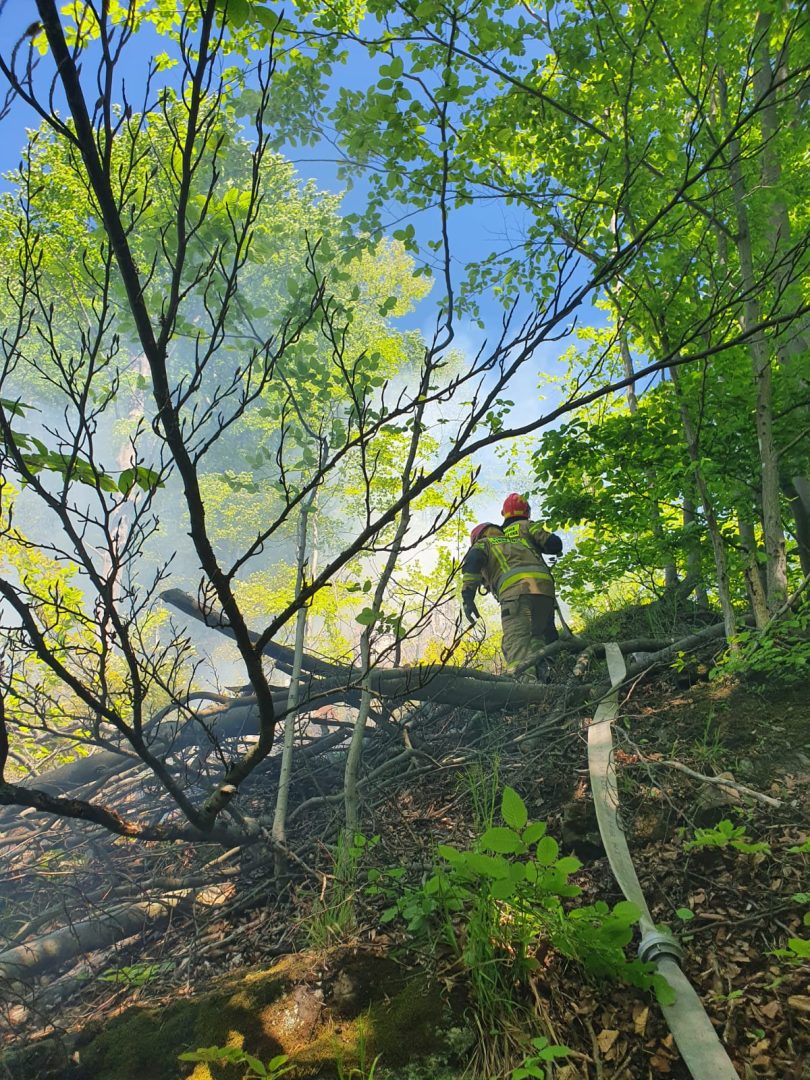 Żegiestów pożar lasu