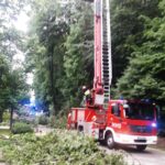 Muszyna, obywatele Ukrainy, rozłamana lipa
