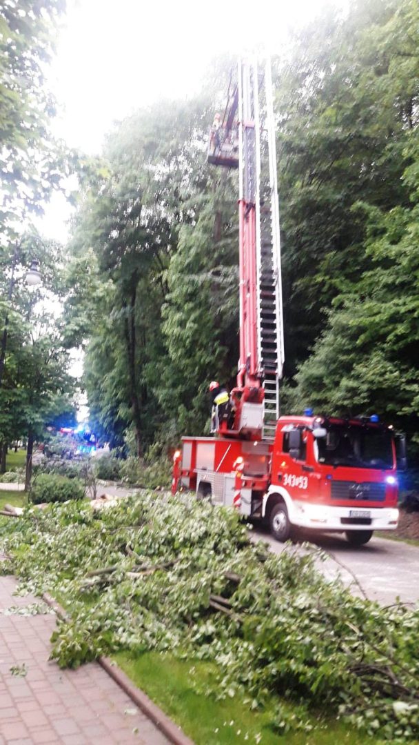 Muszyna, obywatele Ukrainy, rozłamana lipa