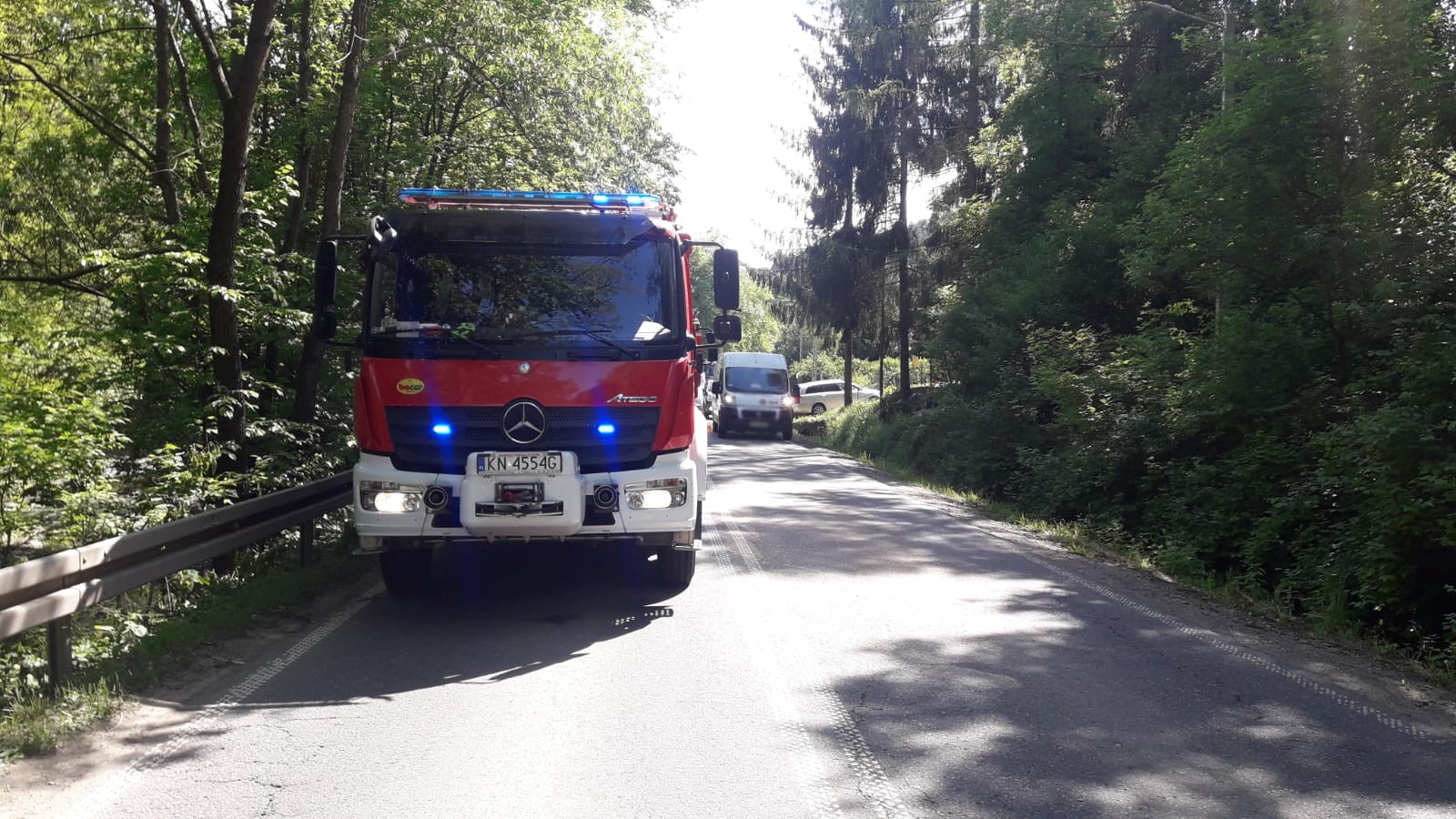 Naściszowa samochód wypadł z drogi
