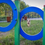 plac zabaw i wybieg dla psów w Gorlicach, wybieg dla psów Gorlice