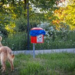 plac zabaw i wybieg dla psów w Gorlicach, wybieg dla psów Gorlice