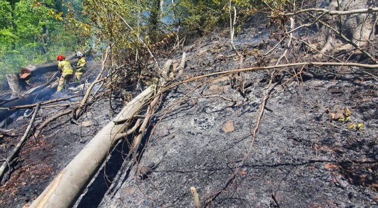 Żegiestów. 45 strażaków walczyło z pożarem lasu