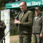 jodły pod Przehybą