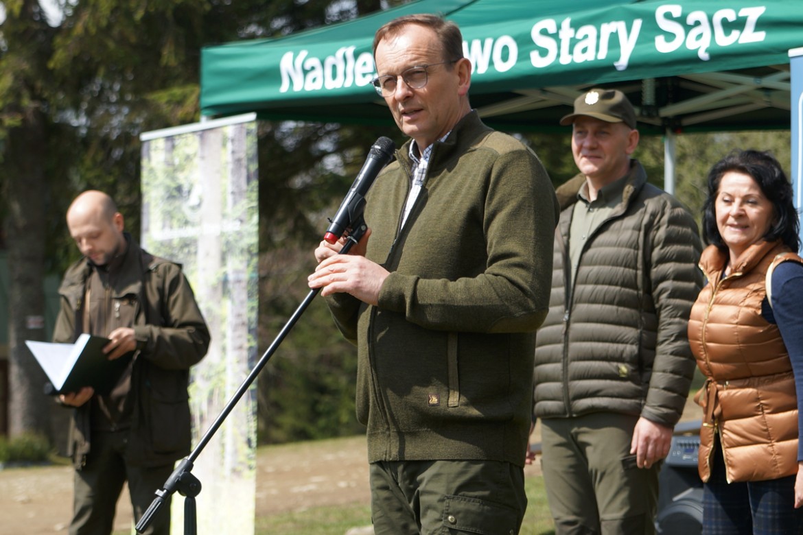 jodły pod Przehybą