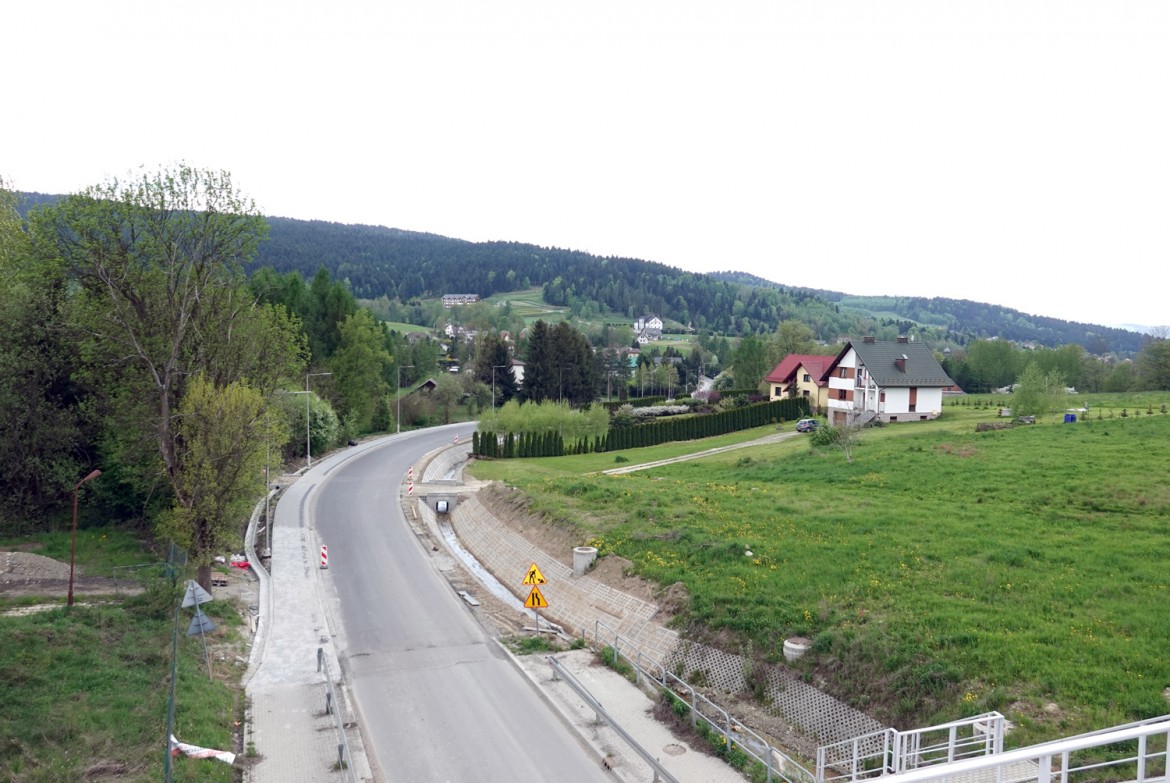 Ptaszkowa droga powiatowa