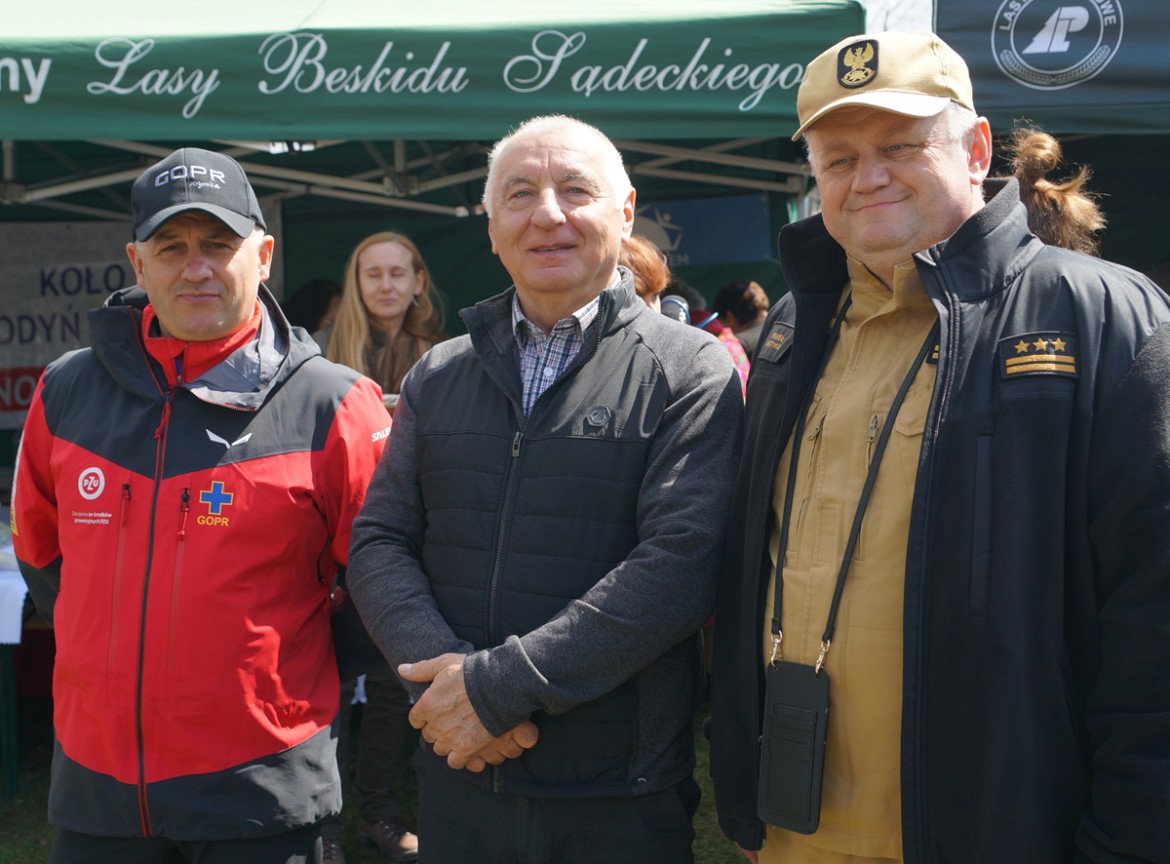 jodły pod Przehybą