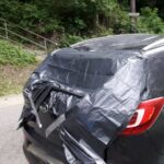 Muszyna, obywatele Ukrainy, rozłamana lipa