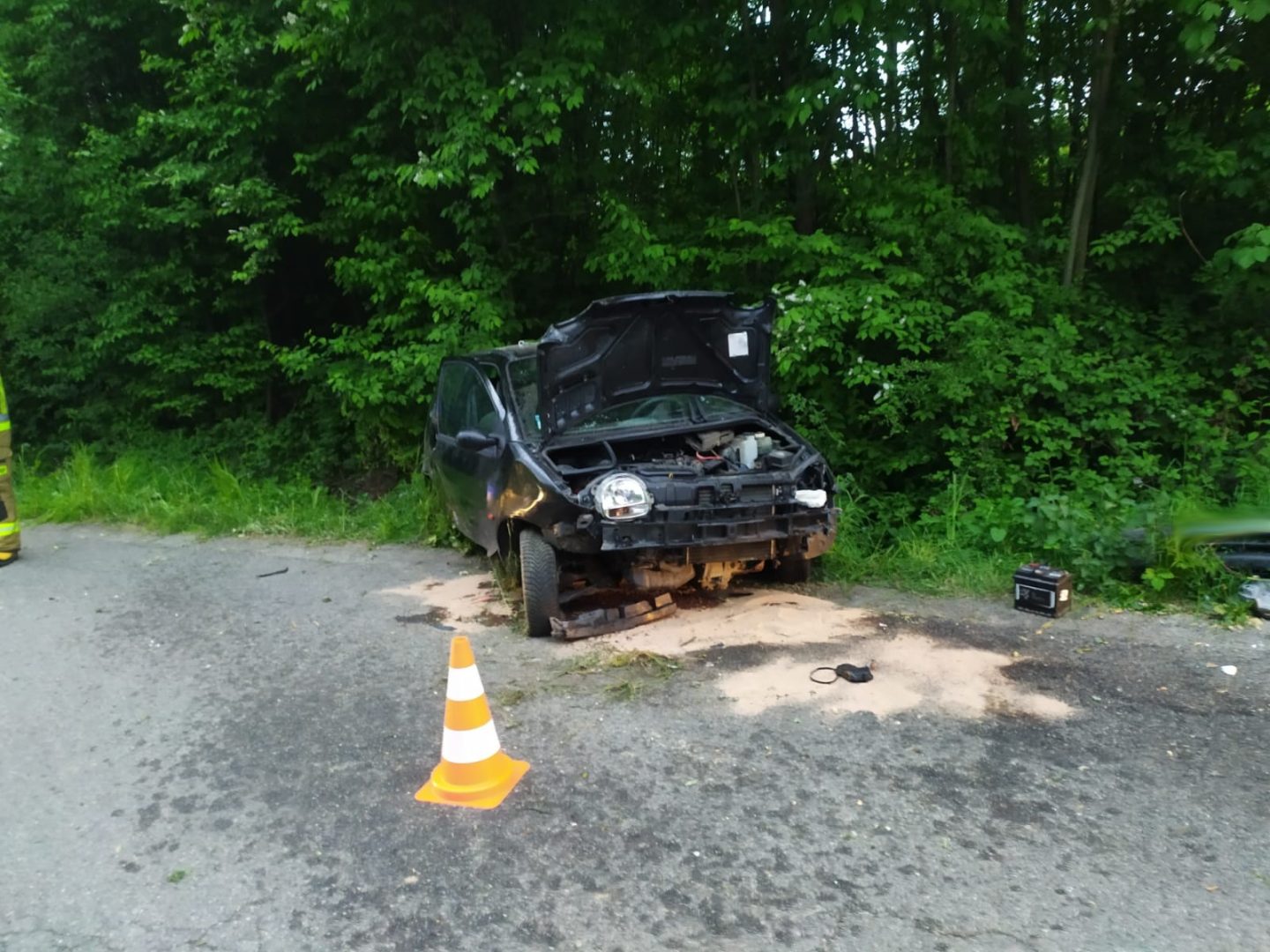 Kotów samochód wypadł z drogi