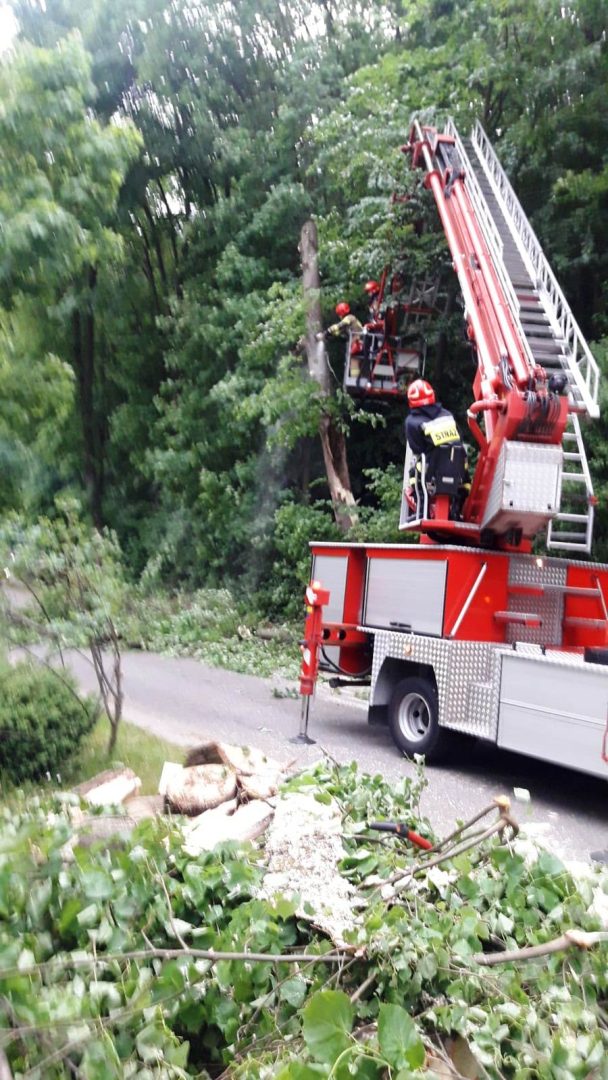 Muszyna, obywatele Ukrainy, rozłamana lipa