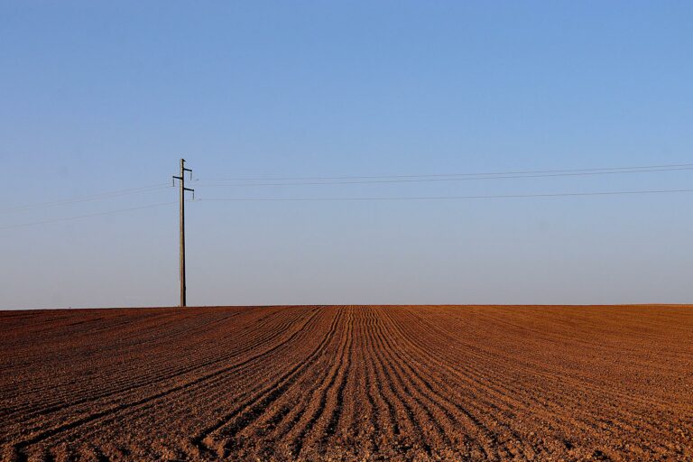 Prąd. Wyłączenia w najbliższych dniach. Dziś awarie