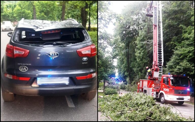Muszyna. Drzewo runęło na samochód, którym podróżowali obywatele Ukrainy