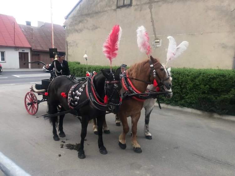 Imieniny Zofii, Bobowa, 130-lecie istnienia OSP Bobowa