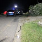 Nie żyje 17-latka, wypadek Brunary, Stawisza