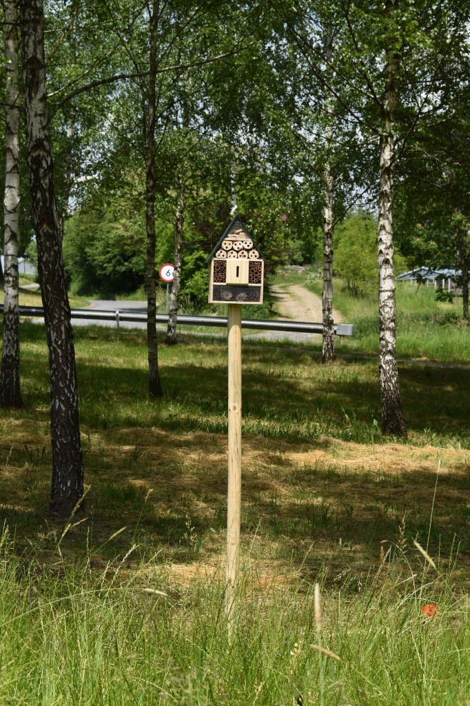 Biesna, kwietna łąka, ekołąka