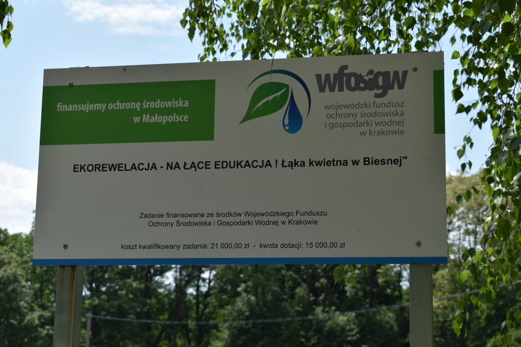 Biesna, kwietna łąka, ekołąka