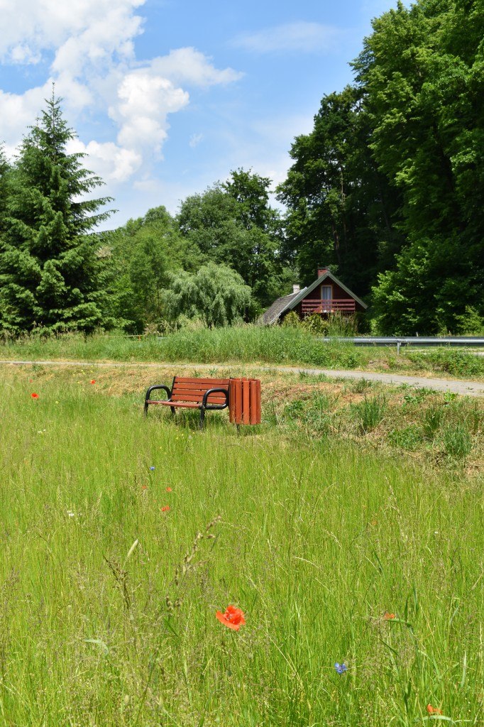 Biesna, kwietna łąka, ekołąka
