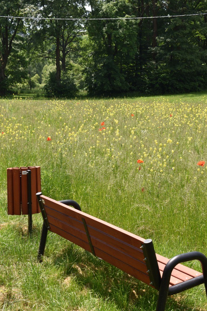 Biesna, kwietna łąka, ekołąka