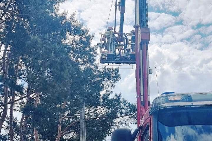 Barcice, ratowanie pustułek