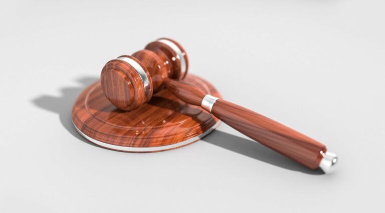 Syn zmarłego senatora ze Stróż przyznał się do winy i dobrowolnie poddał się karze