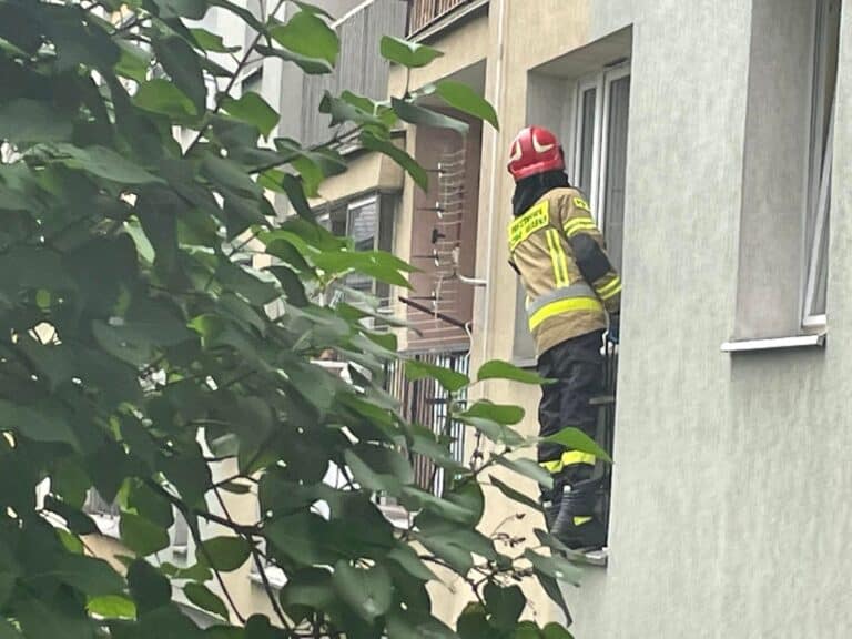 Strażacka wspinaczka na prośbę troskliwych sąsiadów