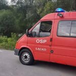 Łącko, barszcz Sosnowskiego