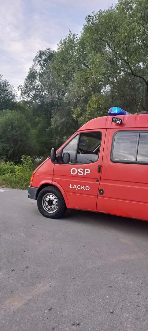 Łącko, barszcz Sosnowskiego