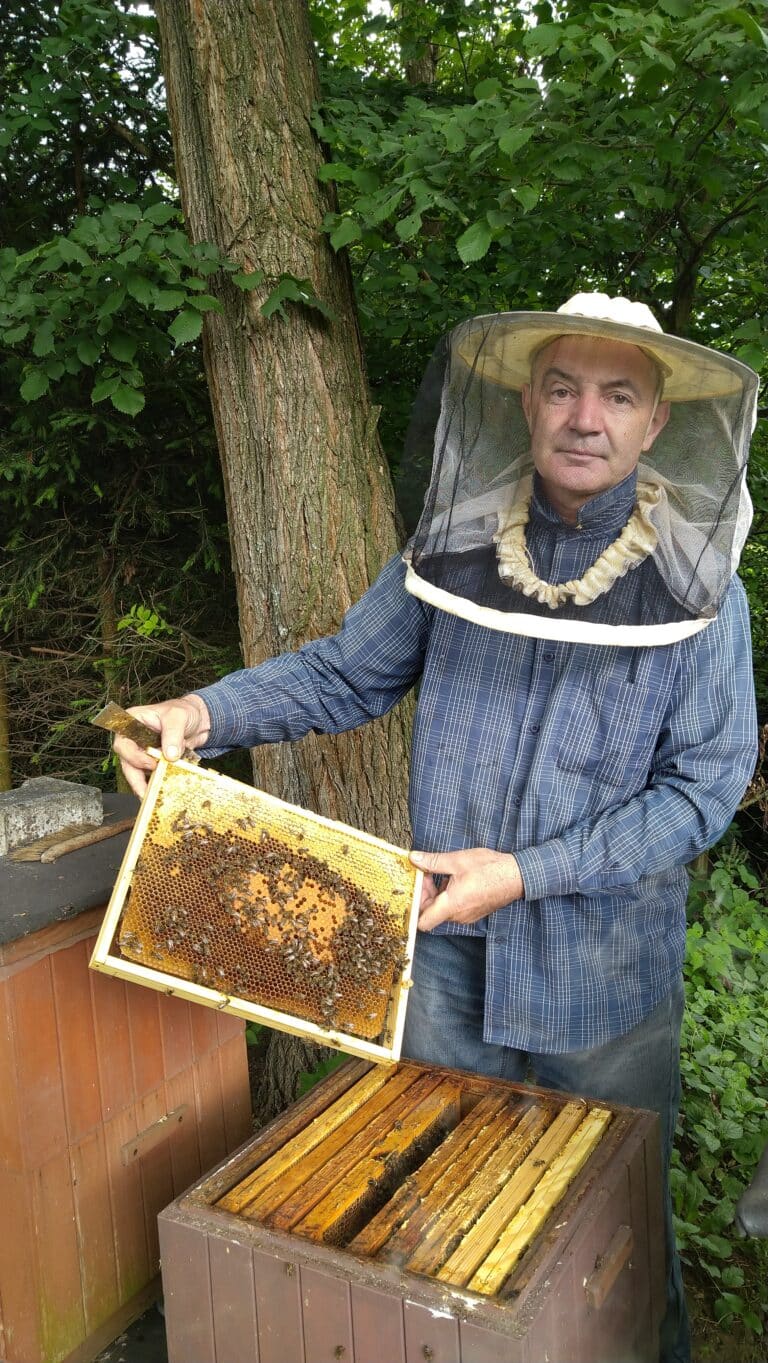 Użądlenie pszczoły to zastrzyk witamin?