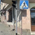Nowy Sącz. Masowo zamykane sklepy w centrum miasta