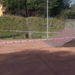 Osy w Krynicy-Zdroju