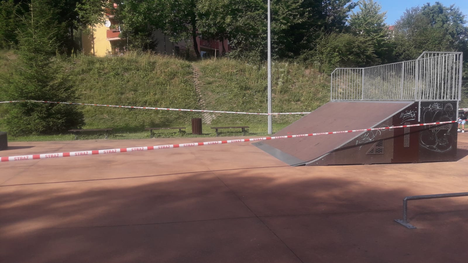 Osy w Krynicy-Zdroju