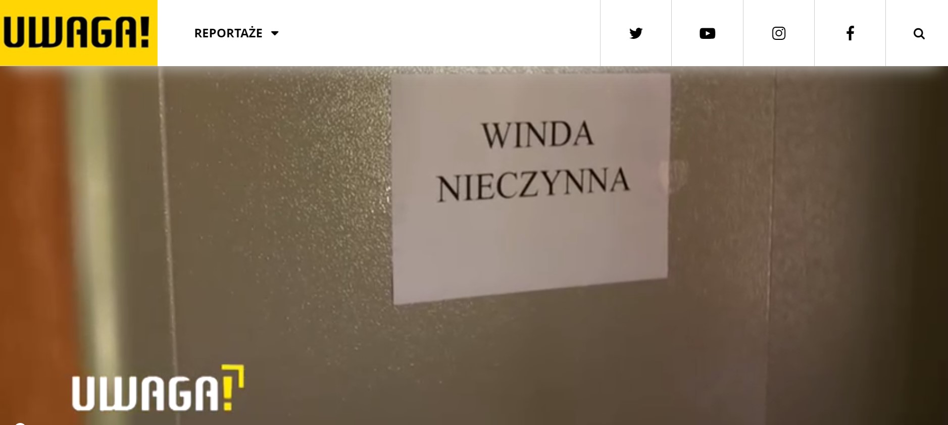 winda tvn