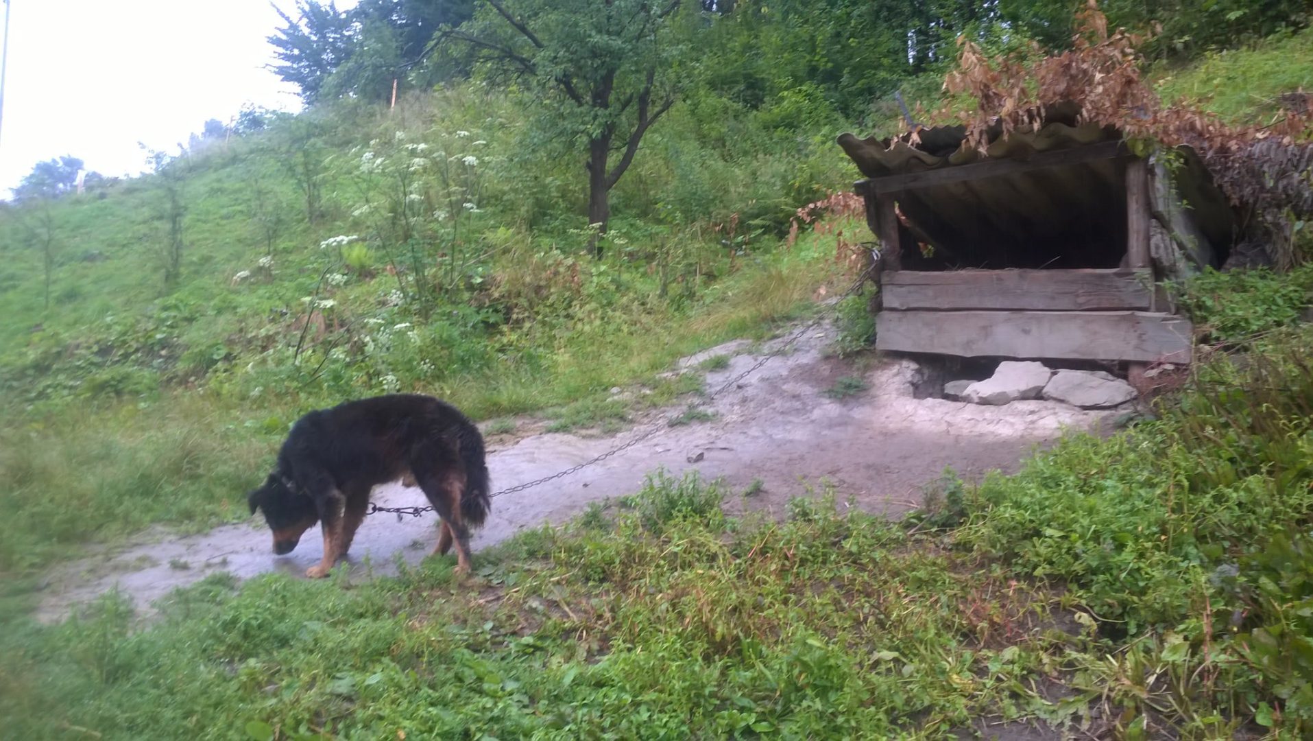 interwencja TOZ