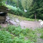 interwencja TOZ