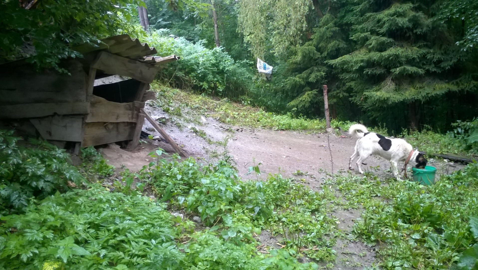 interwencja TOZ