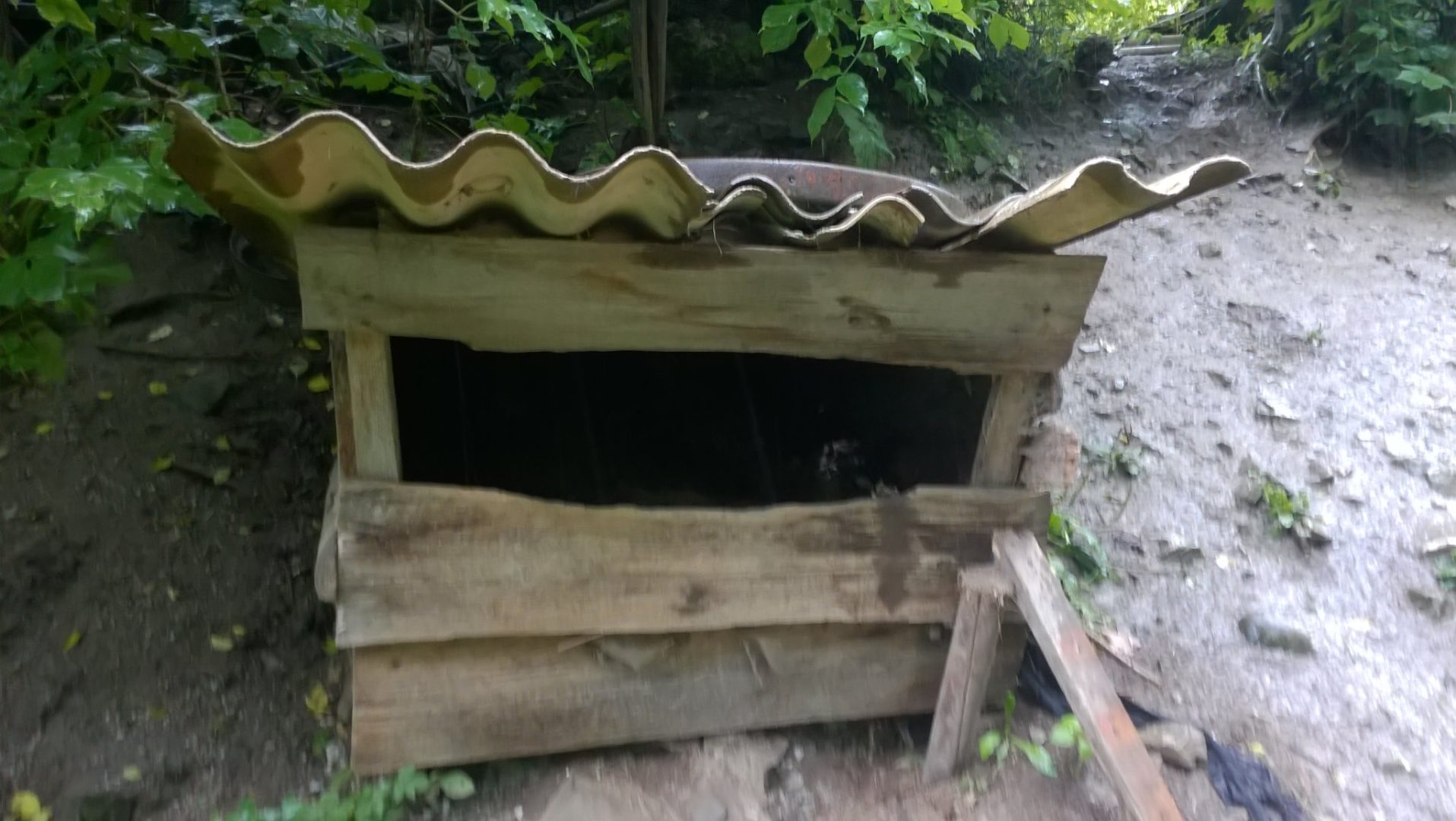interwencja TOZ