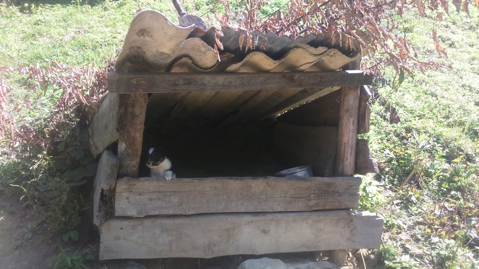 interwencja TOZ