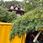 Krynica-Zdrój, konar spadł na namiot