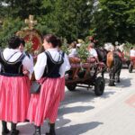 dożynki Korzenna