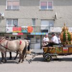 dożynki Korzenna